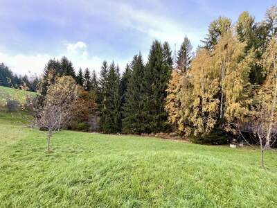 Grundstück kaufen in 8162 Passail (Bild 5)