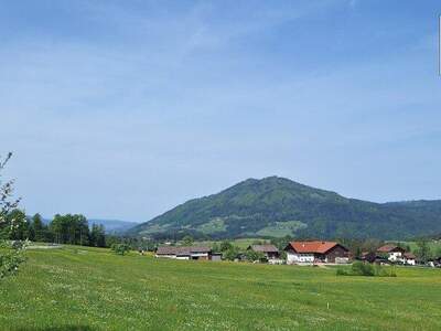 Wohnung kaufen in 4882 Oberwang