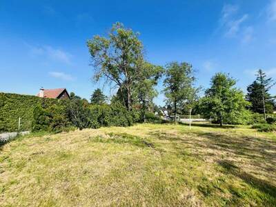 Grundstück kaufen in 2551 Enzesfeld