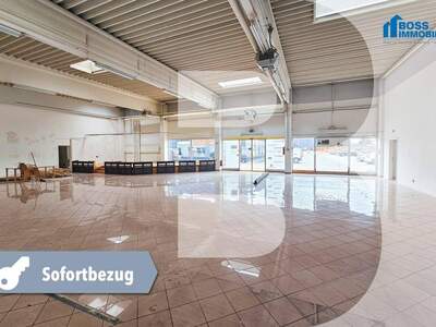 Gewerbeobjekt mieten in 4050 Traun