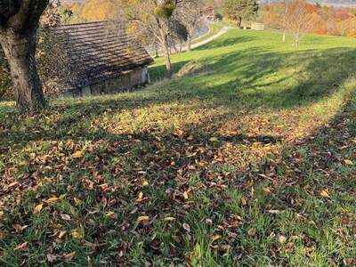 Grundstück kaufen in 8282 Bad Loipersdorf (Bild 5)