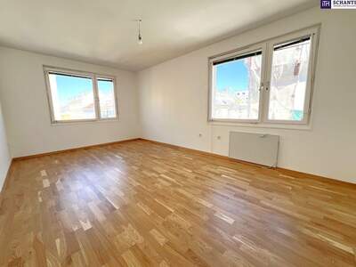 Apartment provisionsfrei mieten in 1100 Wien