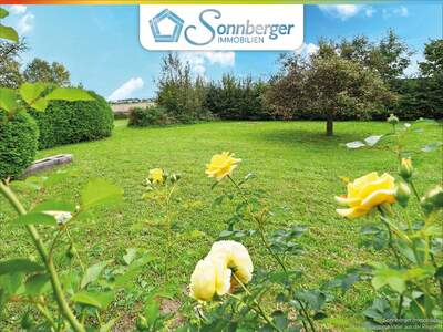 Grundstück kaufen in 4062 Thening (Bild 2)