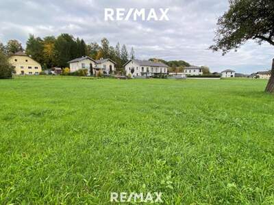 Grundstück kaufen in 4851 Gampern (Bild 2)