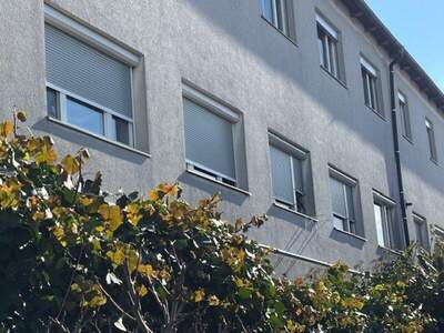 Wohnung kaufen in 2353 Guntramsdorf (Bild 1)