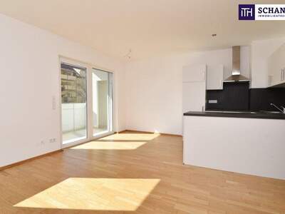 Terrassenwohnung mieten in 8020 Graz (Bild 1)