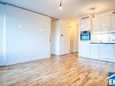 Terrassenwohnung mieten in 1030 Wien (Bild 3)