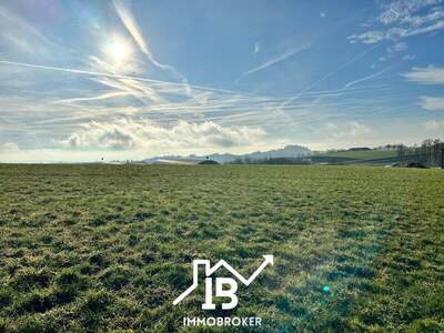 Gewerbegrundstück kaufen in 4201 Gramastetten