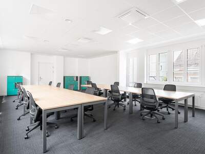 Gewerbeobjekt mieten in 4020 Linz (Bild 3)