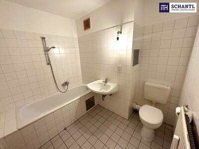 Wohnung kaufen in 1100 Wien (Bild 5)