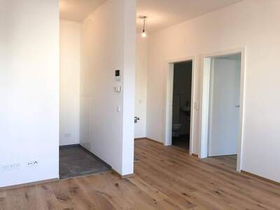 Wohnung mieten in 4020 Linz