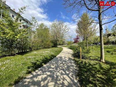 Wohnung kaufen in 4020 Linz