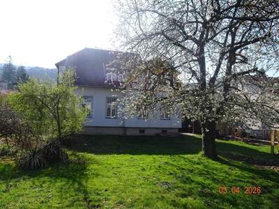 Haus kaufen in 3423 Wördern