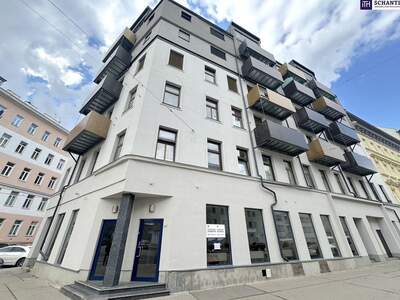 Altbauwohnung mit Balkon kaufen in 1200 Wien (Bild 3)