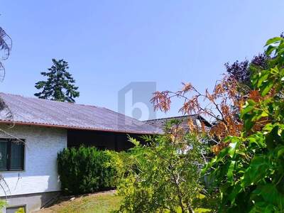 Haus kaufen in 2601 Eggendorf