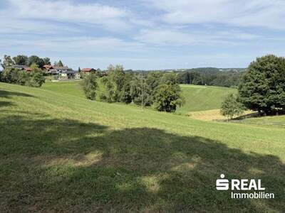Grundstück kaufen in 5241 Maria Schmolln (Bild 5)