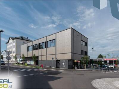 Gewerbeobjekt mieten in 4150 Rohrbach (Bild 4)