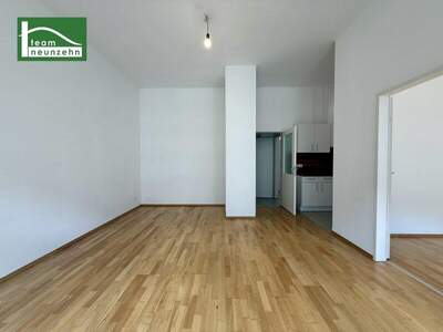 Terrassenwohnung mieten in 1100 Wien (Bild 1)
