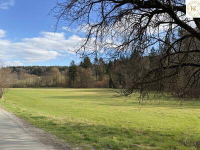 Grundstück kaufen in 8045 Graz