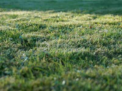 Grundstück kaufen in 2201 Gerasdorf