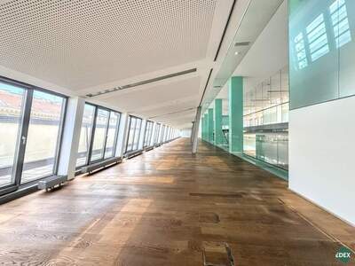 Gewerbeobjekt mieten in 1010 Wien