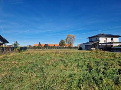 Grundstück kaufen in 3441 Judenau