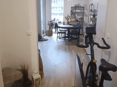 Wohnung provisionsfrei mieten in 4020 Linz