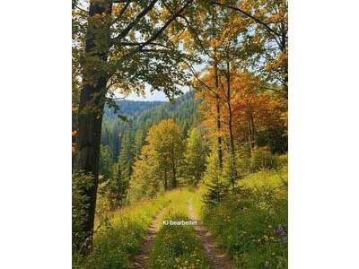 Grundstück kaufen in 8614 Breitenau