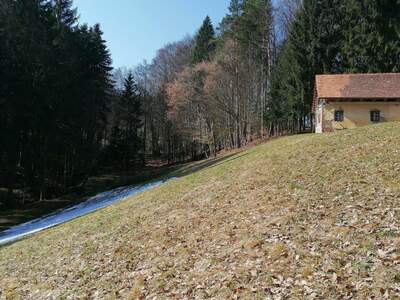 Gewerbeobjekt kaufen in 8461 Ehrenhausen (Bild 2)