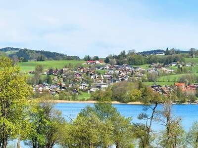 Grundstück kaufen in 4893 Zell