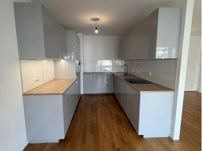 Terrassenwohnung kaufen in 1130 Wien (Bild 4)