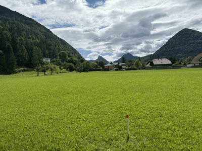Grundstück kaufen in 4645 Grünau