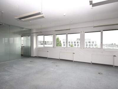 Büro / Praxis mieten in 2345 Brunn (Bild 5)