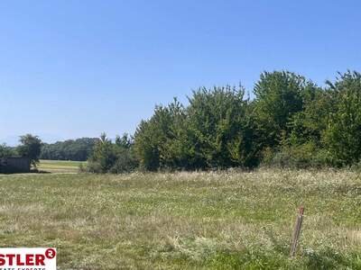 Grundstück kaufen in 2491 Zillingdorf (Bild 3)