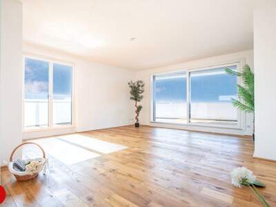 Terrassenwohnung mieten in 2320 Schwechat (Bild 1)