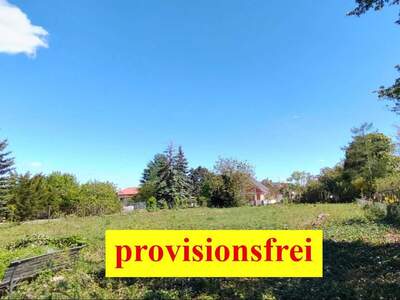Grundstück kaufen in 2230 Gänserndorf Süd