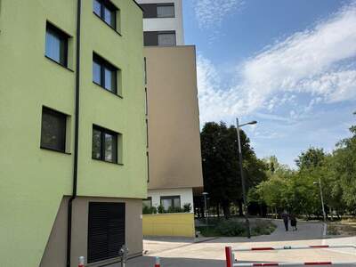 Wohnung mieten in 1230 Wien (Bild 1)