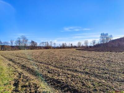 Gewerbeobjekt kaufen in 8561 Söding (Bild 1)