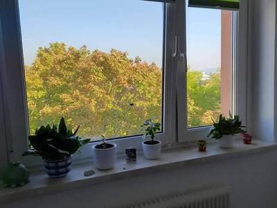 Wohnung provisionsfrei mieten in 4600 Wels