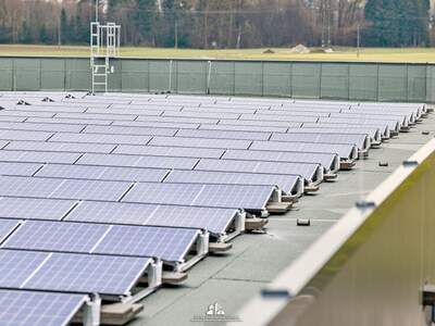 Gewerbeobjekt mieten in 4690 Rüstorf (Bild 5)