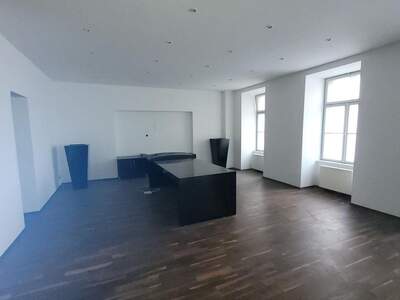 Gewerbeobjekt mieten in 1060 Wien (Bild 3)