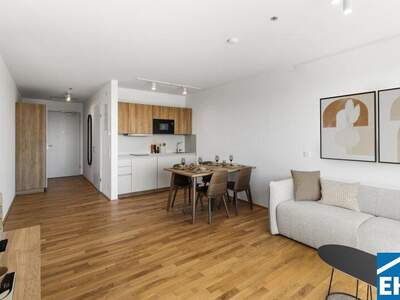 Terrassenwohnung mieten in 1200 Wien (Bild 3)