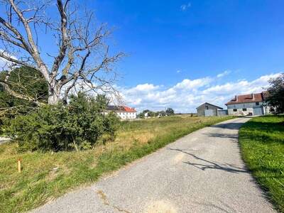 Grundstück kaufen in 4482 Ennsdorf