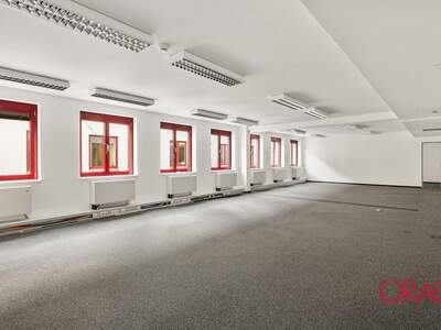 Gewerbeobjekt mieten in 1060 Wien (Bild 3)