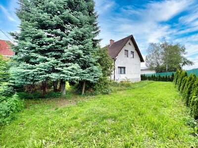 Haus kaufen in 2632 Grafenbach (Bild 1)