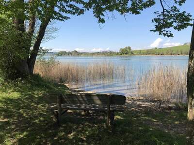 Grundstück kaufen in 5163 Mattsee