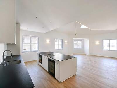 Terrassenwohnung mieten in 1010 Wien (Bild 5)