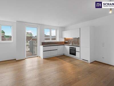 Terrassenwohnung mieten in 1050 Wien (Bild 1)