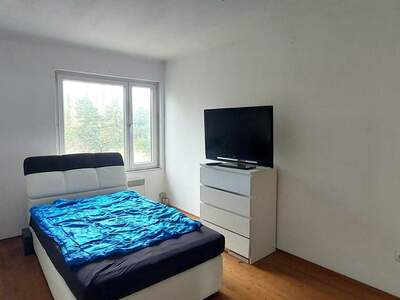 Wohnung mieten in 2293 Marchegg (Bild 4)