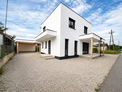 Haus kaufen in 4950 Altheim